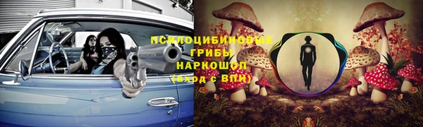 прущие крисы Алексеевка