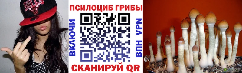Псилоцибиновые грибы ЛСД Лодейное Поле
